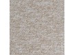 Carpet Carpenter Mevo 2570 - high quality at the best price in Ukraine